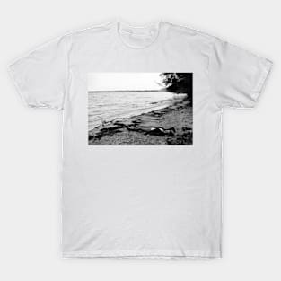 Washed Ashore T-Shirt